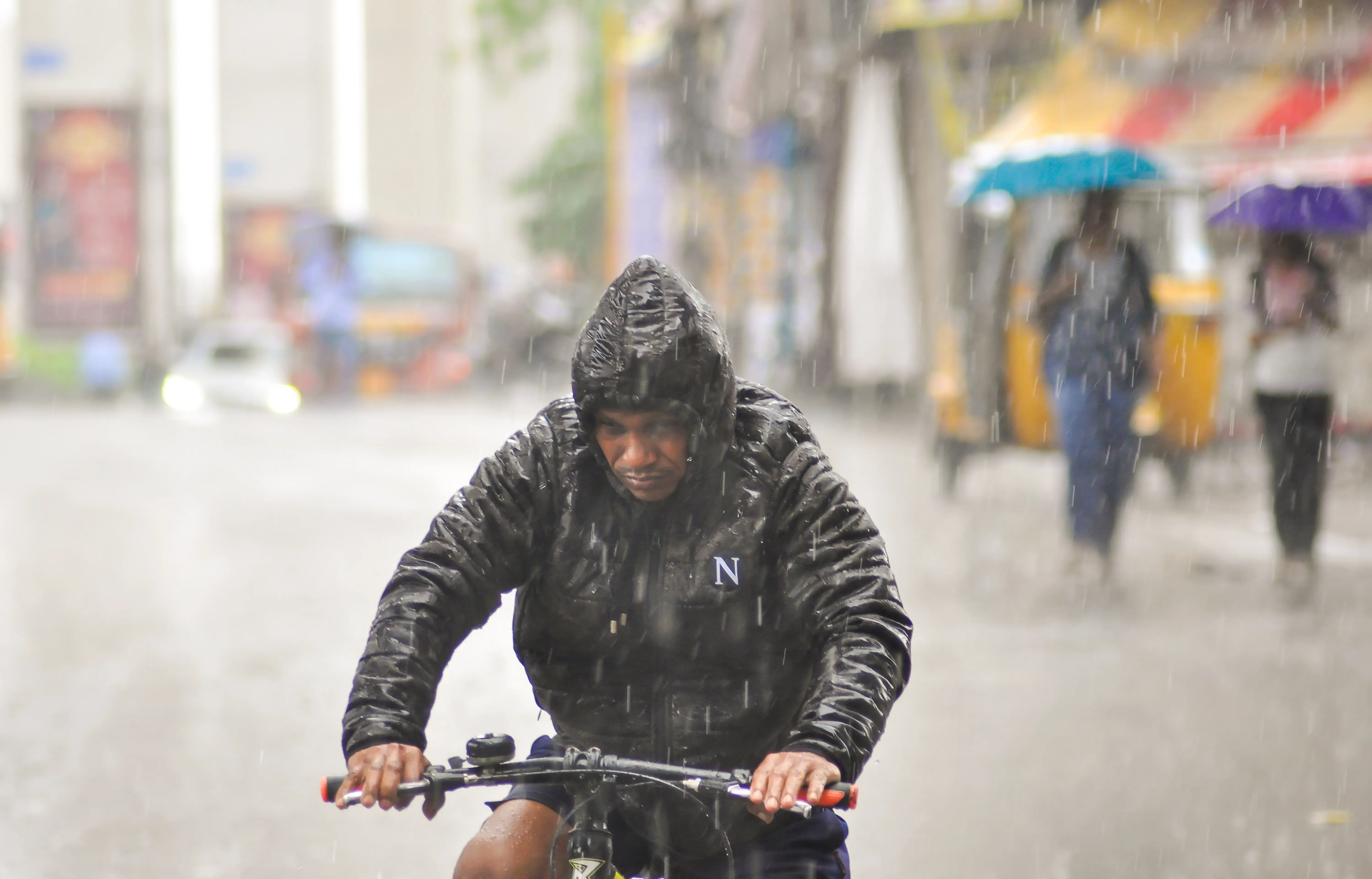 What Impact Did Cyclone Montha Have on MP?