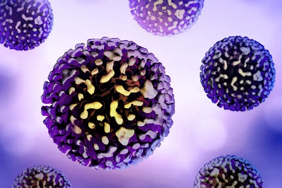 Why is the Czech Republic Seeing a Surge in Hepatitis-A Cases?