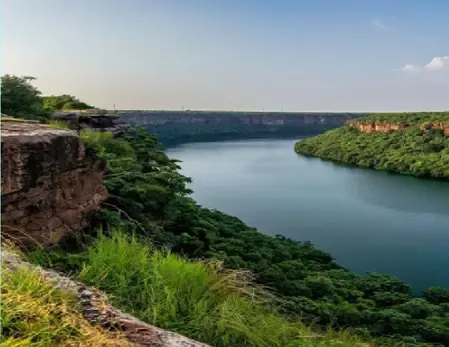 डाकुओं से नहीं, वन्यजीवों और सुंदरता से भरा है चंबल के बीहड़, नीली और साफ नदी देती है सुकून