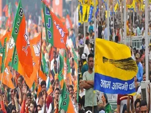 Delhi Assembly Elections: Full list of winners