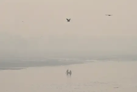 Is Delhi Still Suffocating Under Toxic Air?