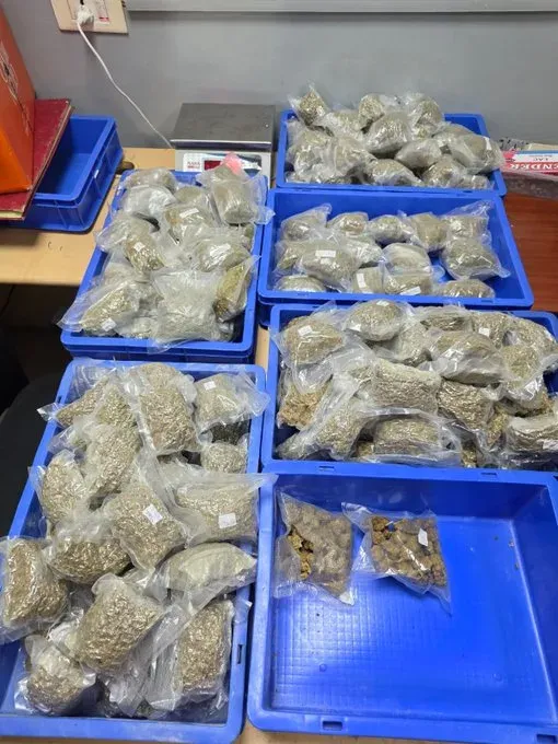 Delhi Customs seizes ₹5.38 crore hydroponic weed at IGI Airport, two held