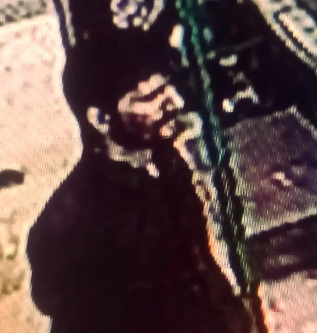 क्या दिल्ली में कार ब्लास्ट करने वाले आतंकी की पहचान हो गई?