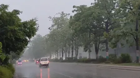 Delhi-NCR rain relief: Pleasant weather likely till June 4, IMD forecast