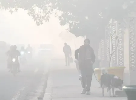 Is Delhi-NCR Enduring a Cold Wave and Deteriorating Air Quality?