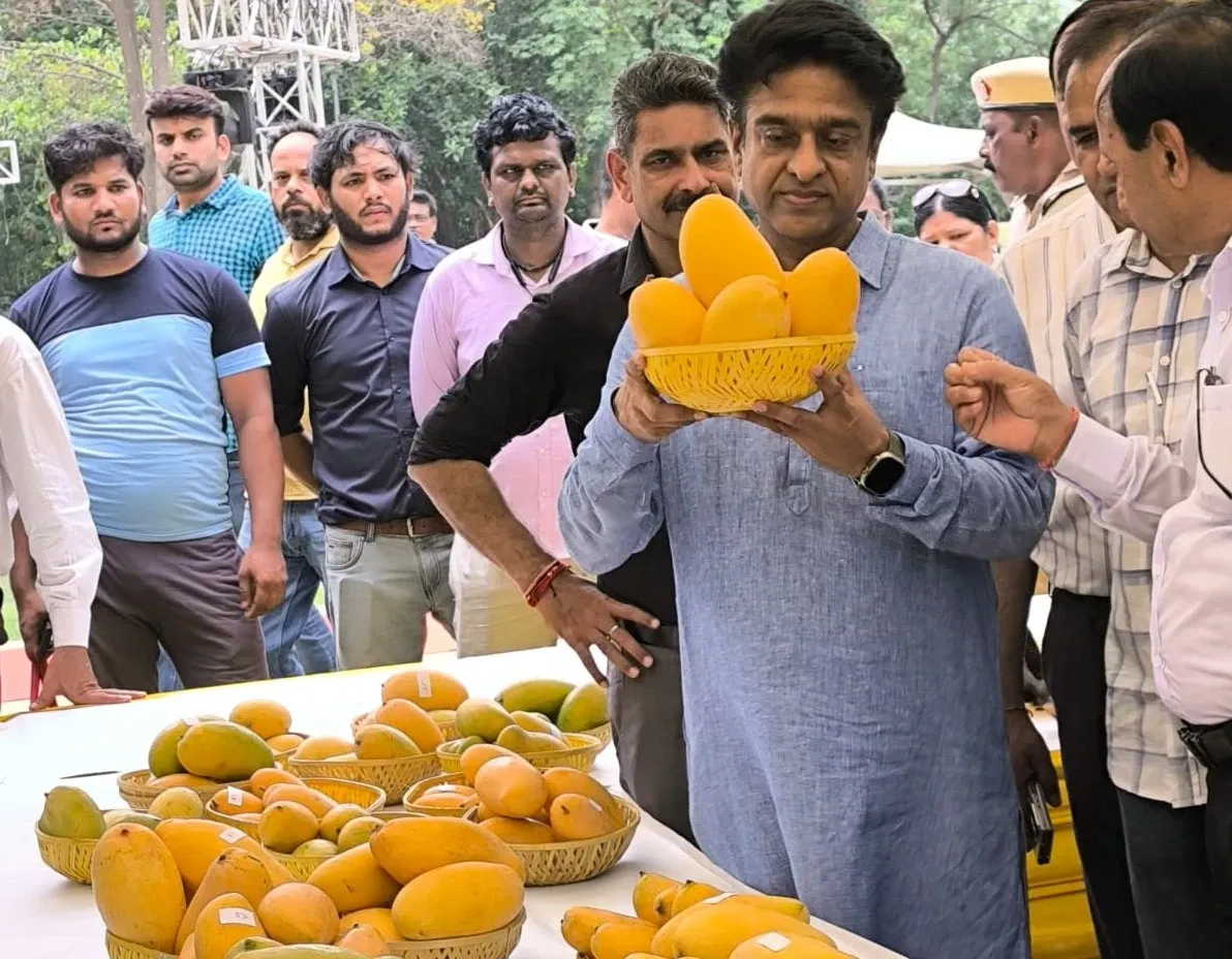 Did Delhi's NDMC ‘Mango Festival’ Captivate Diplomats and Fruit Enthusiasts?