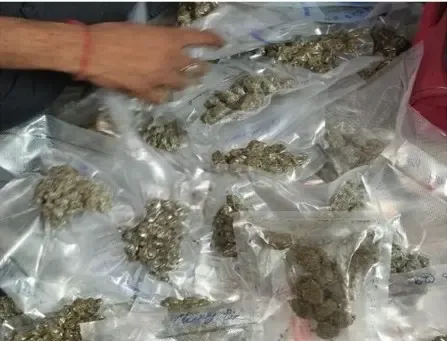 Did Delhi Police Uncover a 51.5 kg Ganja Trafficking Ring?