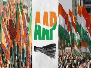 Delhi Assembly Elections: 719 Candidates Remain on Nomination Withdrawal Deadline