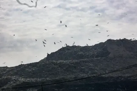 Is Delhi Really Processing Only 64% of Its Daily Waste?