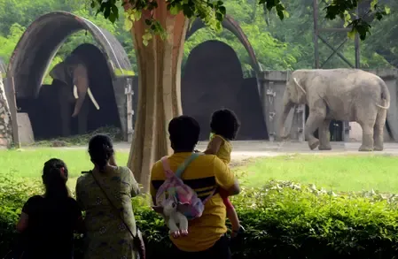 Is the Delhi Zoo Reopening Tomorrow After a Two-Month Closure?
