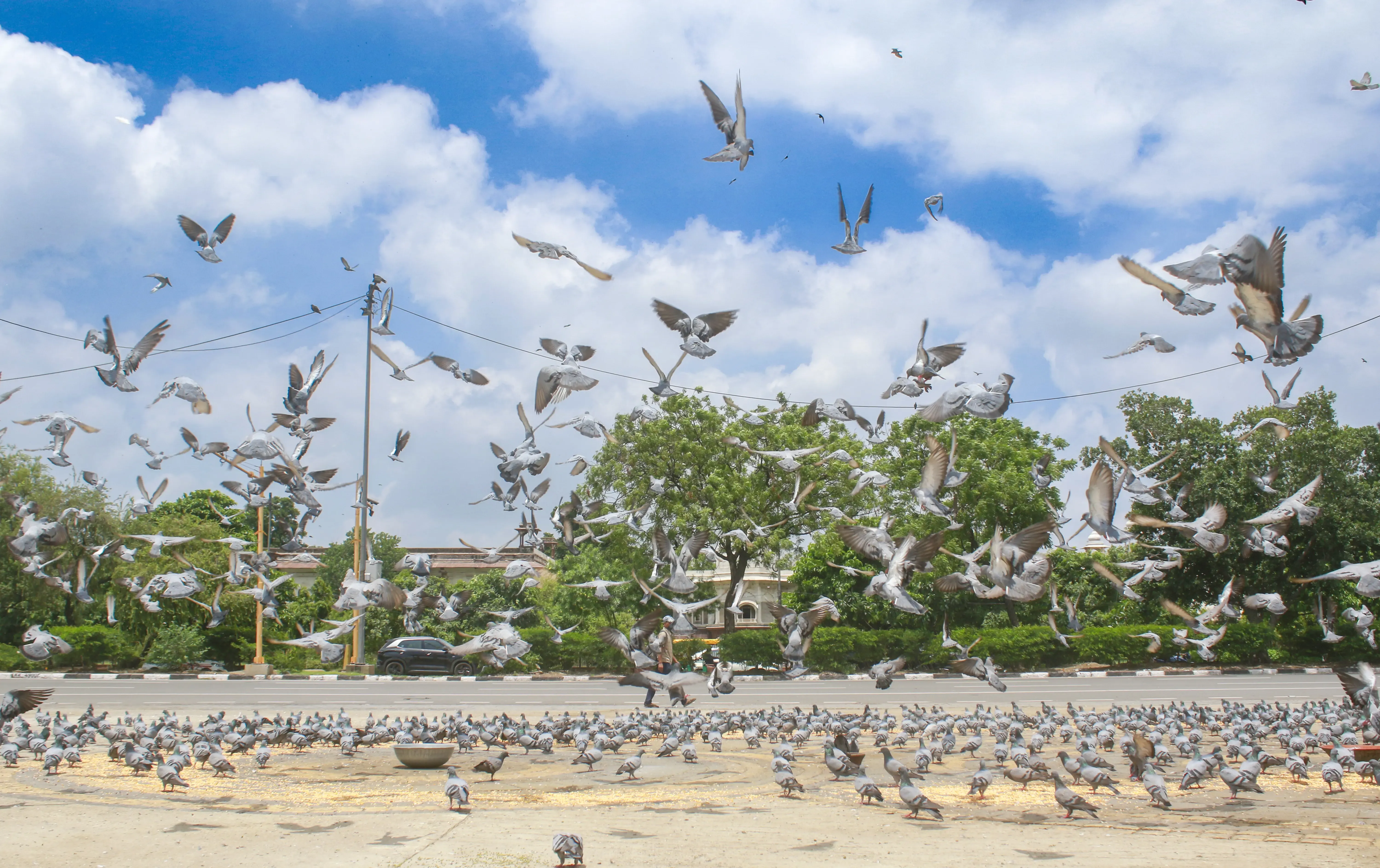 Significant Improvement in Delhi's Air Quality Post-Rainfall