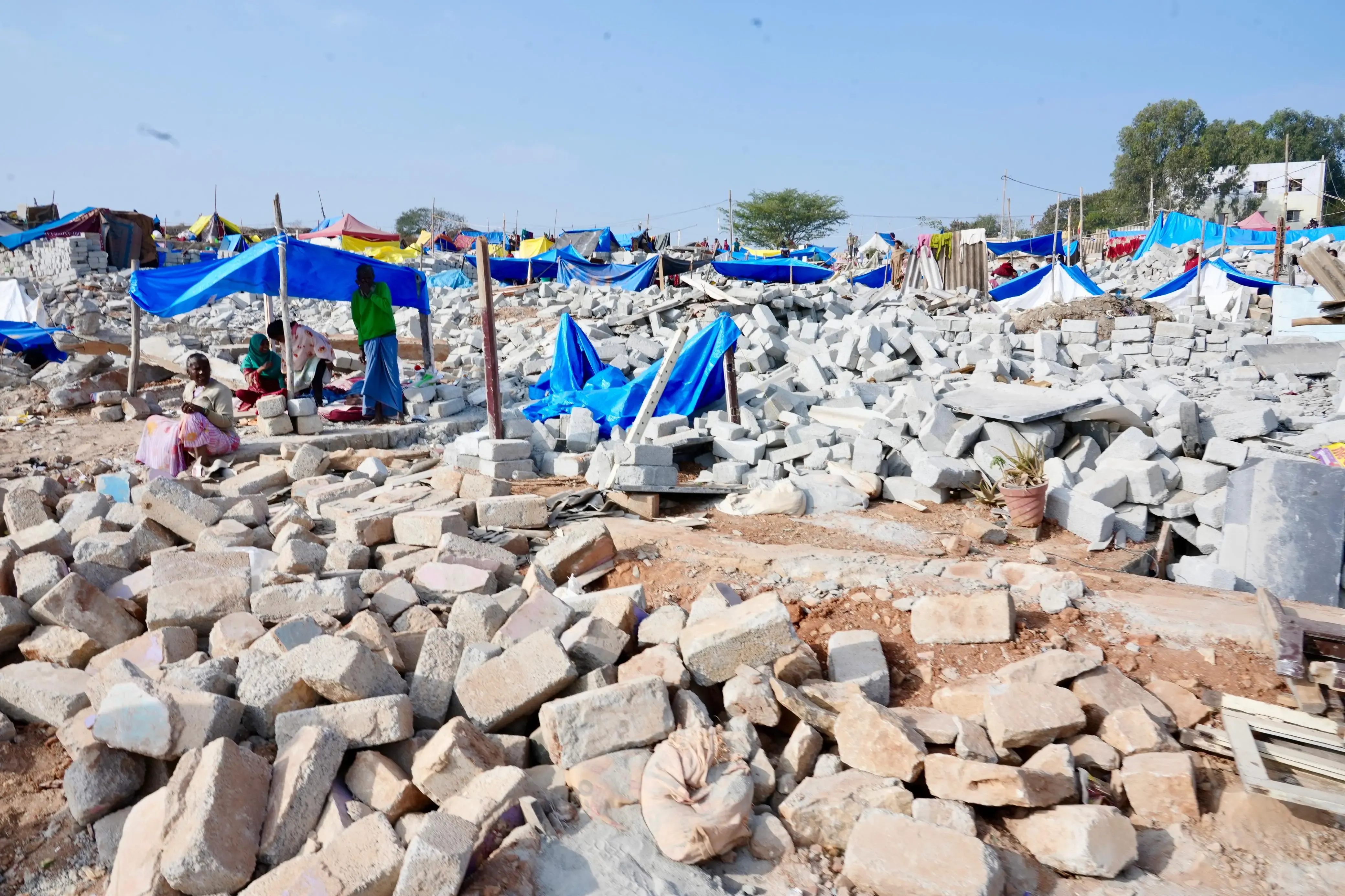 Are All Encroachers in Karnataka Bangladeshis? BJP Leader Raises Concerns