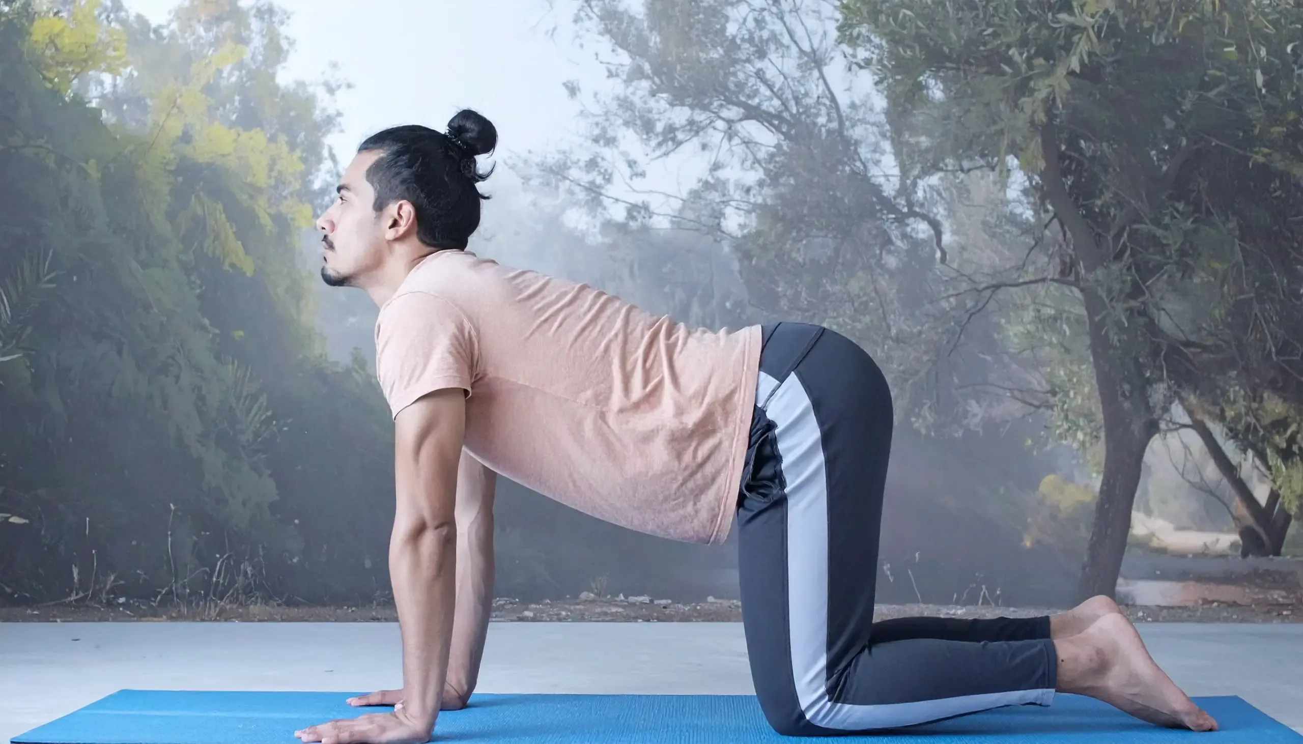 डेस्क जॉब करने वालों के लिए 'मार्जरी आसन': गर्दन और पीठ के दर्द से मिलेगी राहत