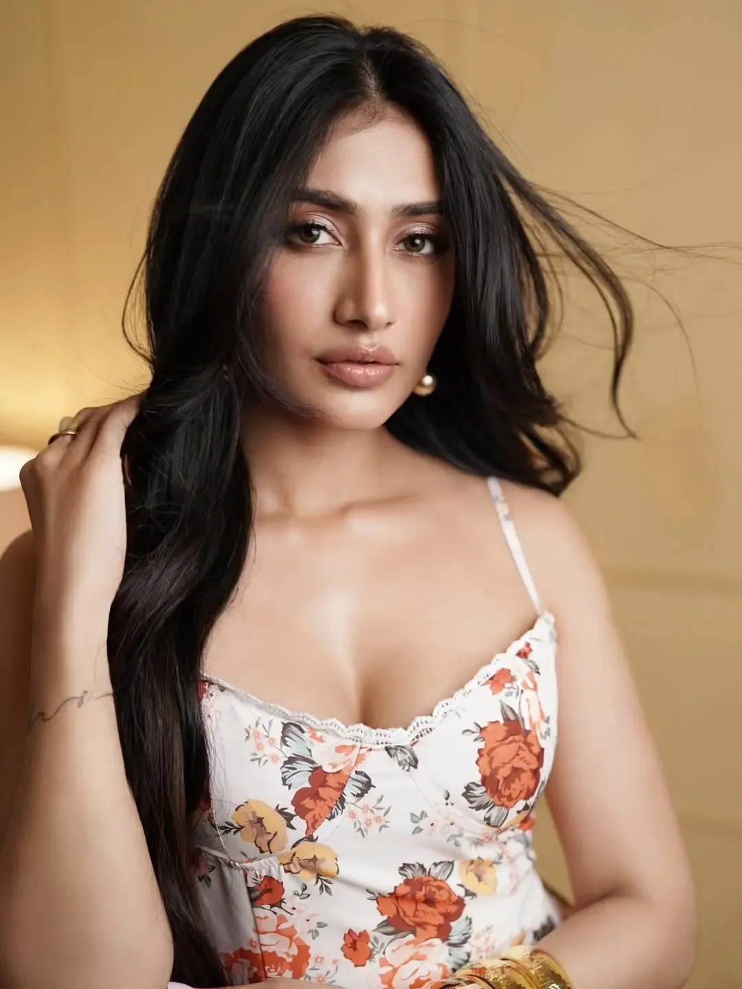 What Did Dhanashree Reveal About Sugar and Money?