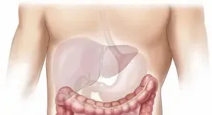 Can Diabetes Drug Effectively Treat Fatty Liver?