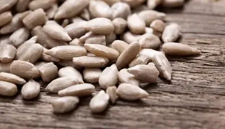 डायबिटीज, मोटापा और दिल की बीमारियों में फायदेमंद सूरजमुखी के बीज, जानिए इसके अनगिनत फायदे