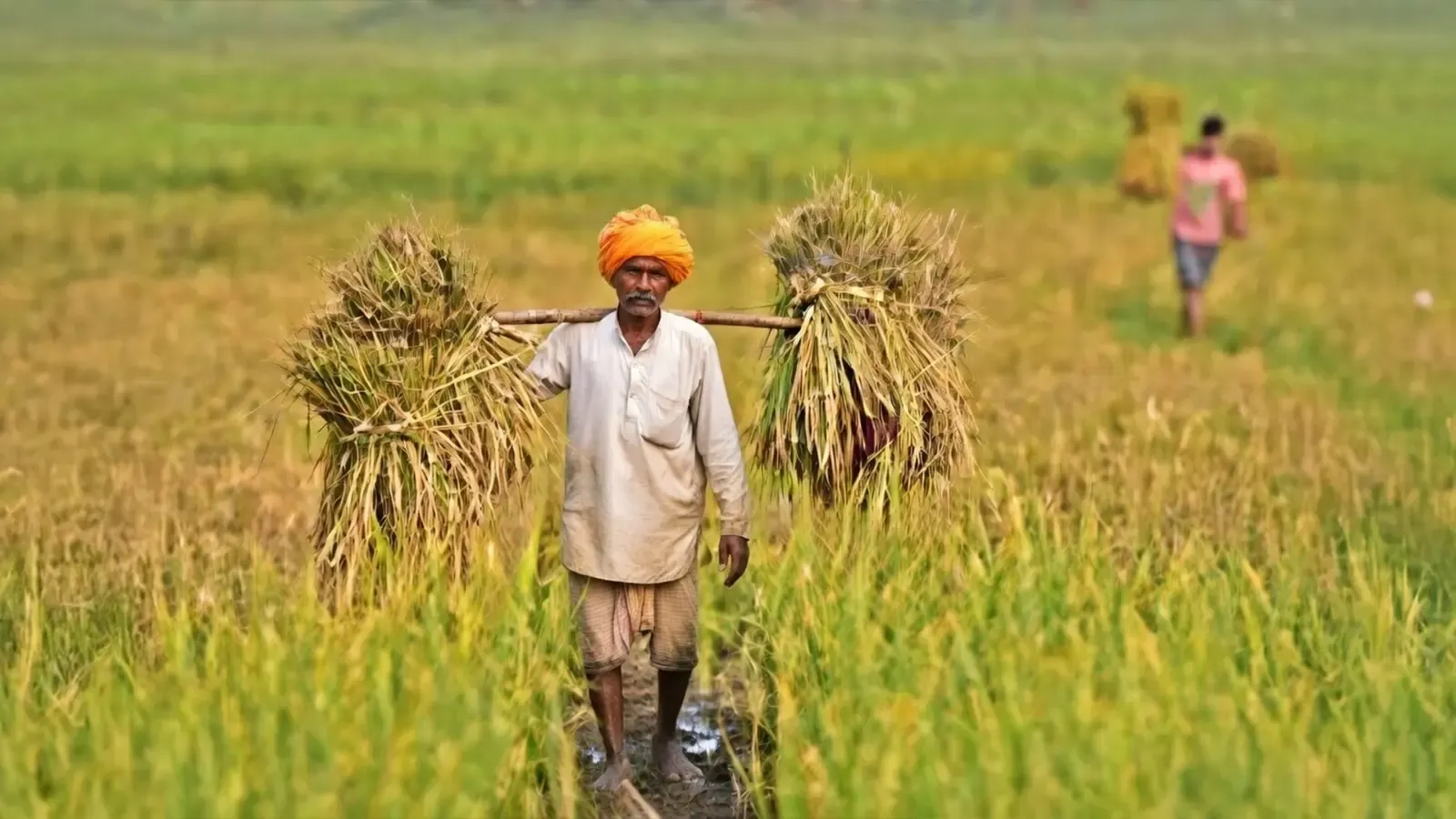 e-NAM Revolutionizes Agriculture: 1,656 Mandis Integrated and Rs 4.84 Lakh Crore Trade Facilitated