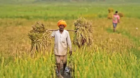 Digital agri push: e-NAM integrates 1,656 mandis, facilitates Rs 4.84 lakh crore trade
