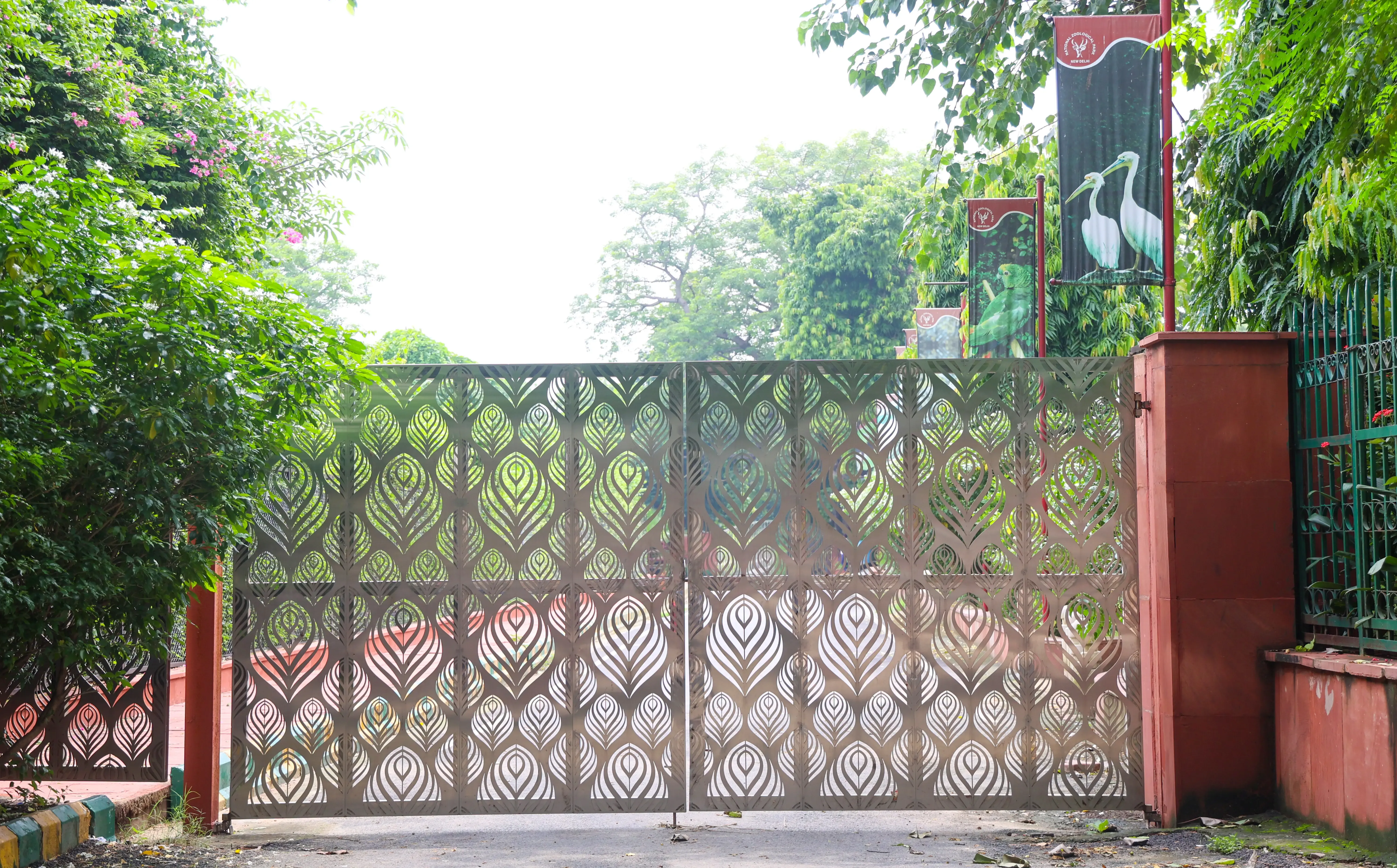 क्या दिल्ली चिड़ियाघर को फिर से खोलने में समय लगेगा? बर्ड फ्लू से निपटने के लिए प्रशासन सतर्क