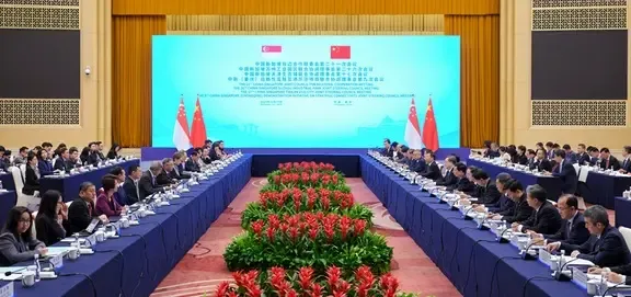 क्या डिंग श्वेएश्यांग ने सिंगापुर के उप प्रधानमंत्री गान किम योंग से मुलाकात की?