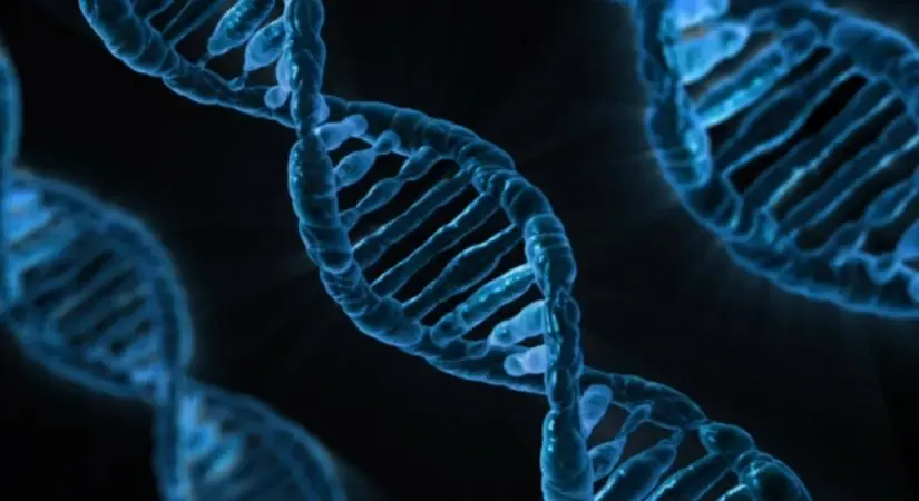 DNA Sequencing Could Be a Major Target for Hackers, Study Warns