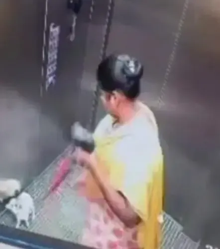 What Caused a Domestic Worker to Brutally Kill a Puppy in Bengaluru?