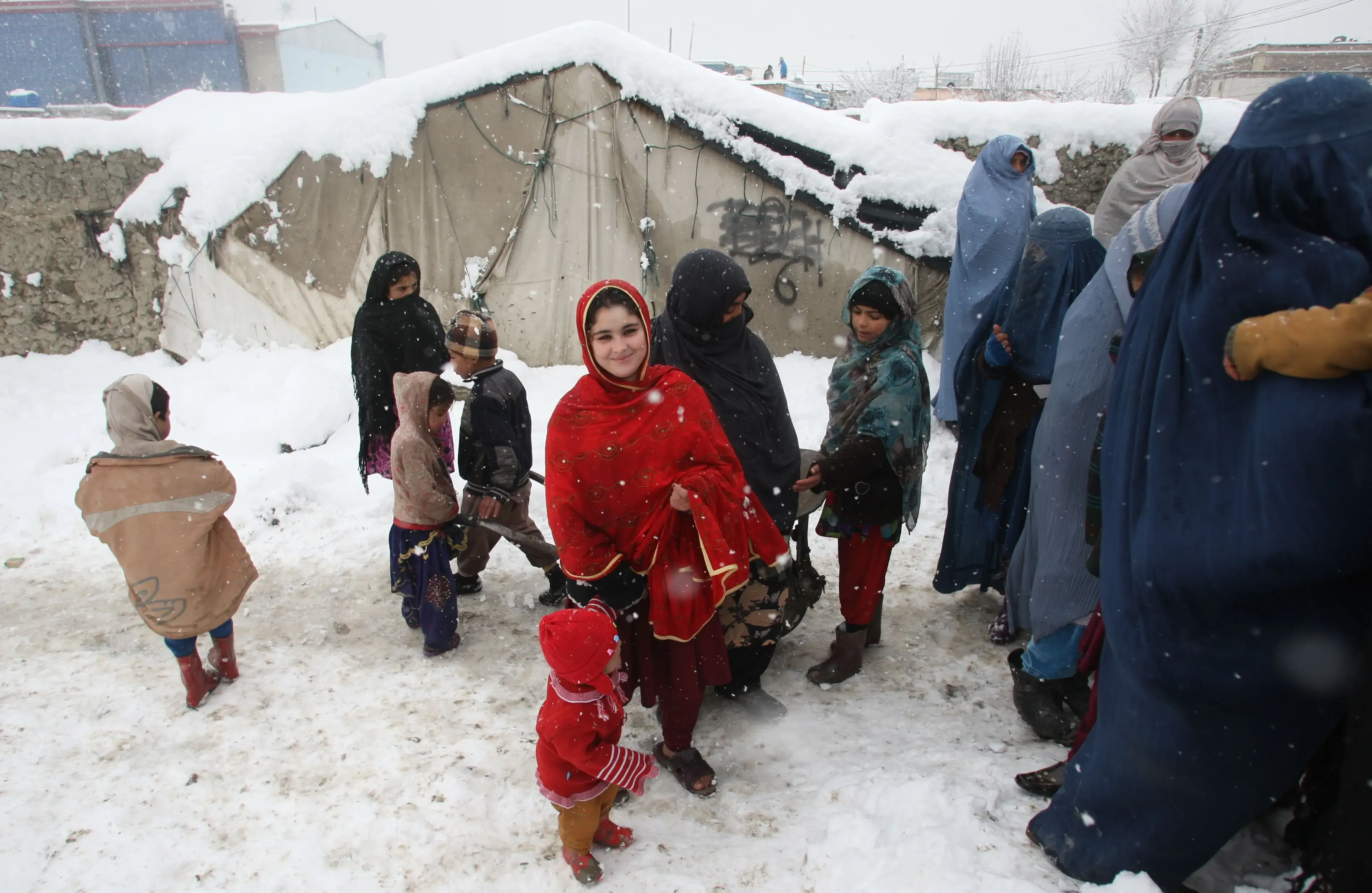 How Many Afghan Migrants Have Died from Freezing Conditions at the Iran Border?