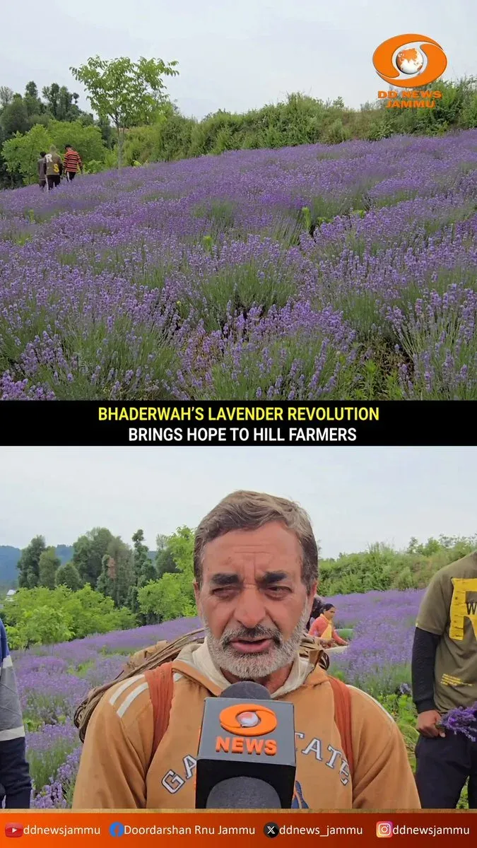 Dr. Jitendra Singh Highlights Lavender Cultivation in Bhaderwah