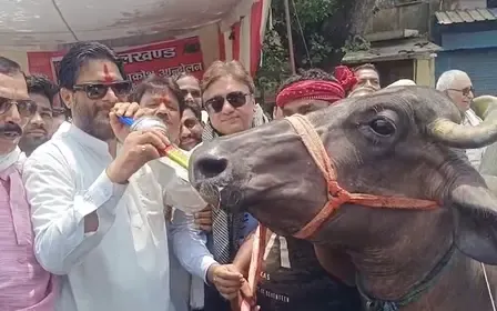 Is There a Dramatic Protest in Jhansi with Chains, Placards, and a Buffalo Leading the Outcry Against Power Outages?