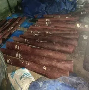 Who Were the Four Smugglers Arrested by DRI in the Red Sanders Export Attempt?