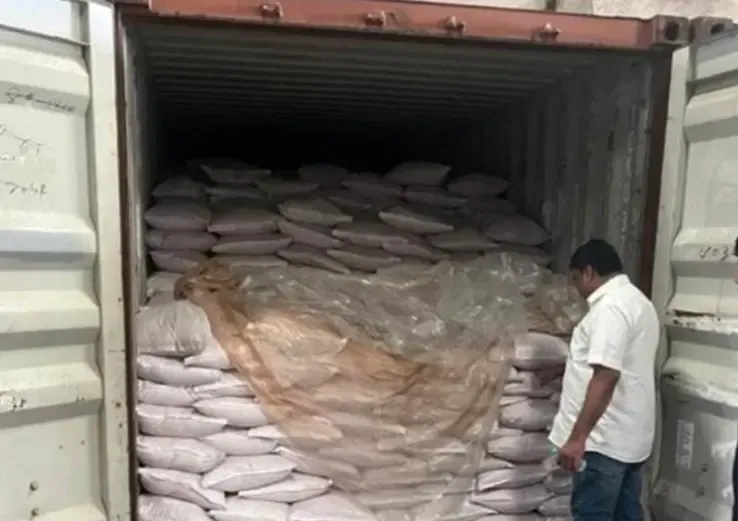 DRI busts ₹30 crore Pakistan rock salt smuggle via Sri Lanka, 4 held