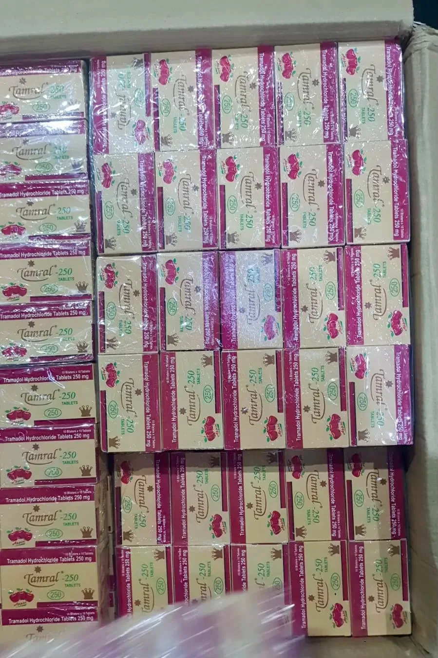 DRI busts Ambernath drug unit, seizes 2 lakh tablets in Nigeria export bid