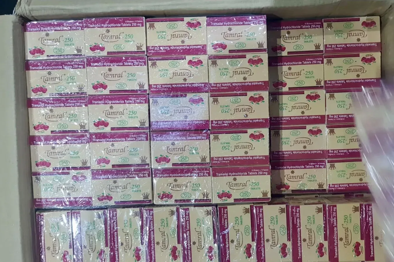 डीआरआई का बड़ा ऑपरेशन: 2 लाख प्रतिबंधित गोलियां जब्त, नाइजीरिया तस्करी नेटवर्क ध्वस्त; 3 गिरफ्तार