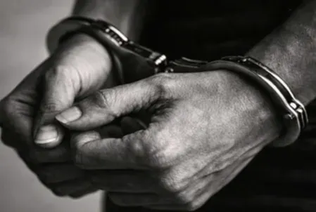 डीआरआई पुणे ने वन्यजीव तस्करी का भंडाफोड़ किया: 3 मालाबार गिलहरी, 7 स्टार कछुए बरामद, 2 गिरफ्तार