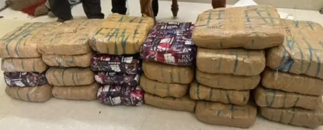 DRI seizes 845 kg contraband, arrests 15 in fortnight crackdown