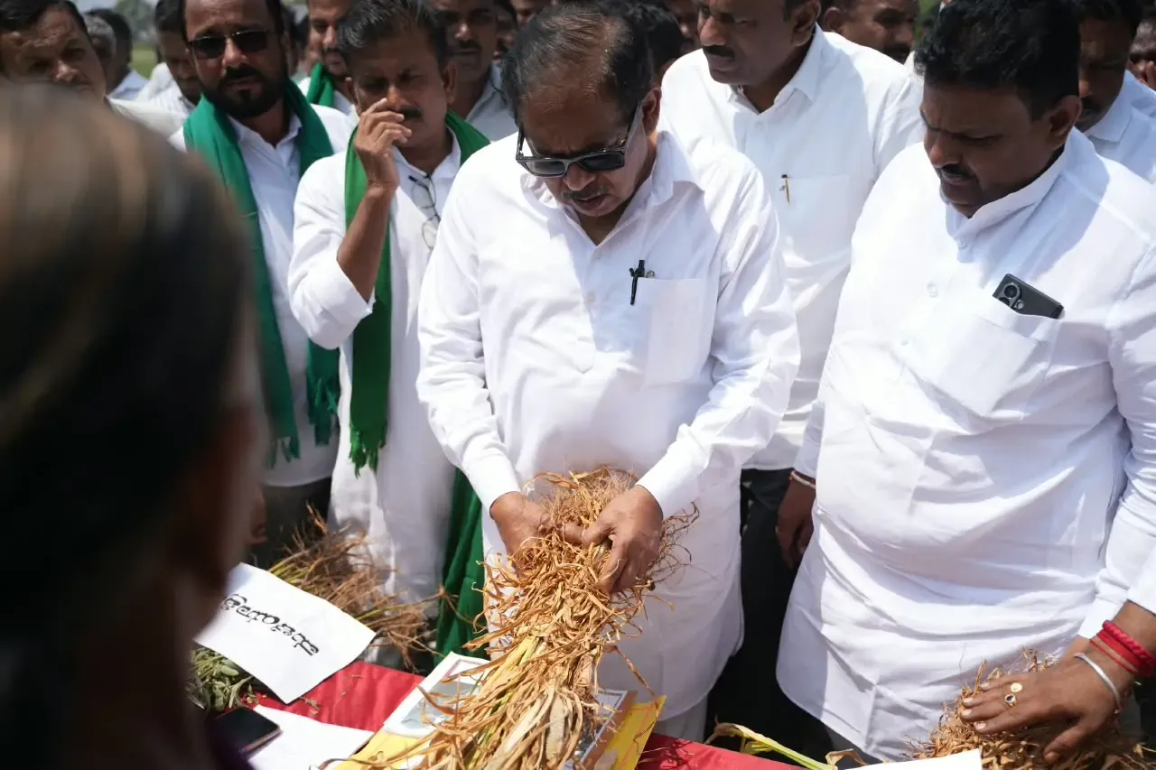 Karnataka drought: ₹2,500 released to 50 lakh farmers, state seeks ₹12,000 crore from Centre