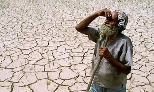 Rajasthan drought 2026: Gehlot demands relief as Meena orders survey