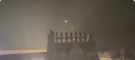 Drunk man scales Tirupati temple's 'gopuram', detained after triggering hour-long scare