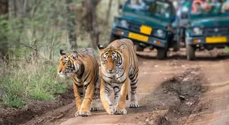 दुधवा राष्ट्रीय उद्यान में ईको टूरिज्म को बढ़ावा देने के लिए अनुभव-थारू संस्कृति योजना के क्रियान्वयन का प्रस्ताव