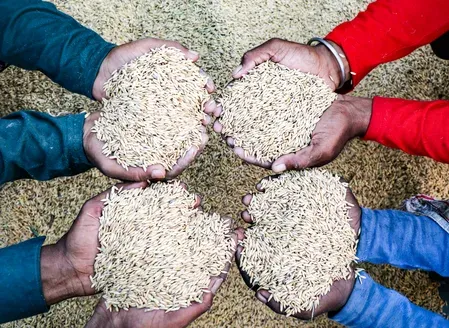 दुनिया के 13 देशों पर गंभीर भुखमरी का संकट, यूएन की नई रिपोर्ट ने लाखों लोगों को लेकर जताई चिंता