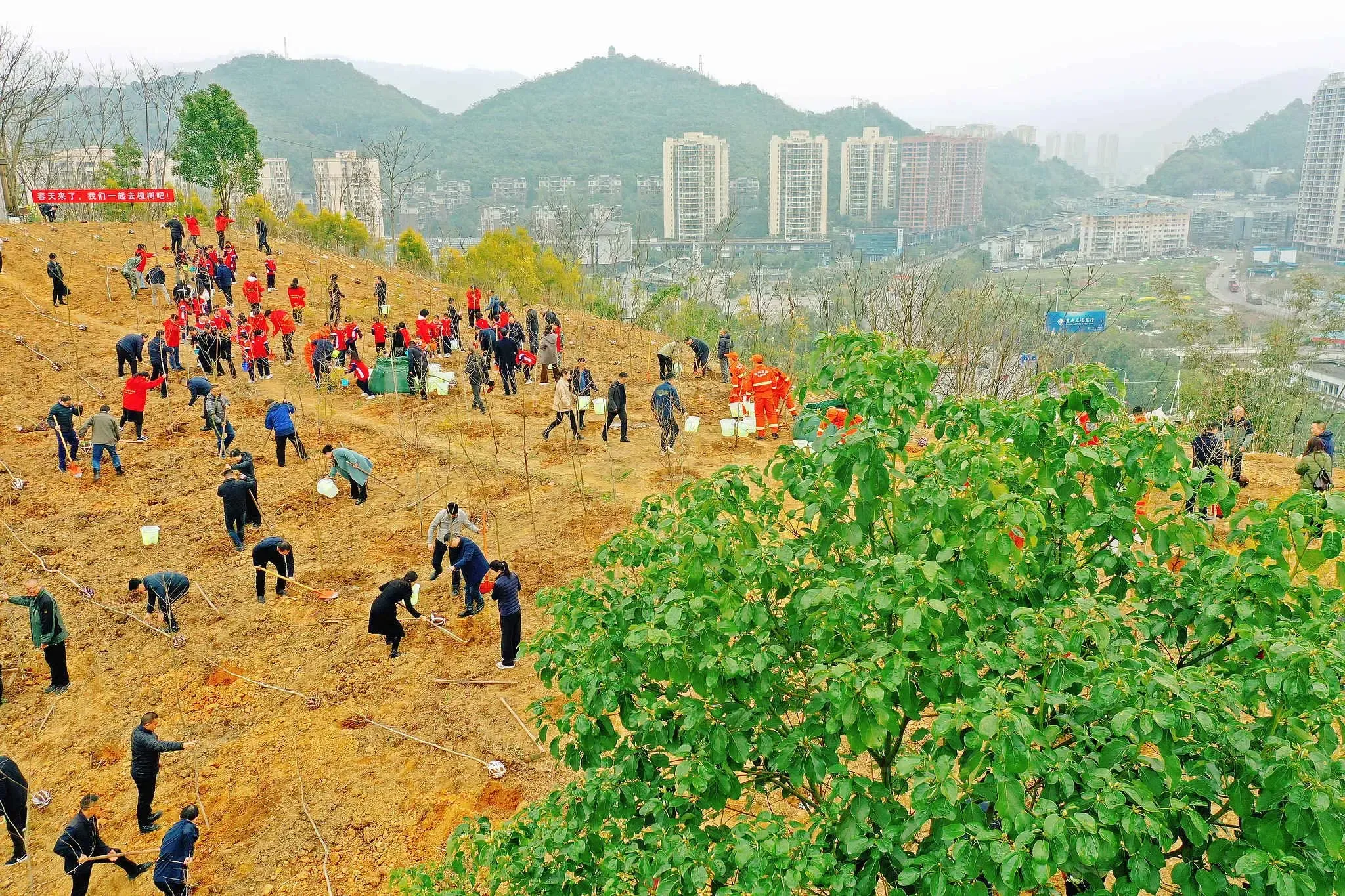 चीन बना दुनिया में सबसे तेजी से हरियाली बढ़ाने वाला देश