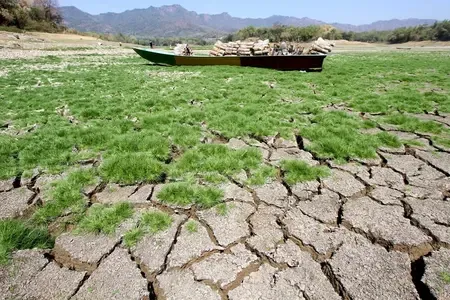WMO Reports Unprecedented Climate Imbalance on Earth