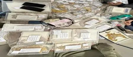 ईडी ने दिल्ली और हरियाणा में इंदरजीत सिंह यादव से जुड़े 10 ठिकानों पर छापेमारी की