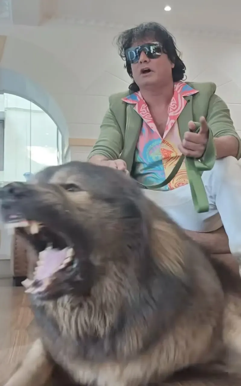 ED Conducts Raid on Bengaluru Dog Breeder Claiming to Own ₹50 Crore Canine