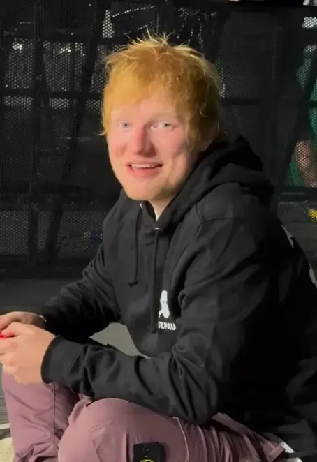 Ed Sheeran Reflects on His Unusual Village Creation