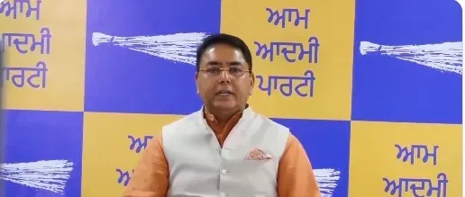 ED using media leaks, vague allegations to target AAP: Punjab minister