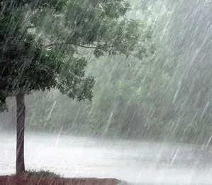 Wayanad's Educational Facilities in Kerala to Close Today Due to IMD's Red Alert for Intense Rainfall