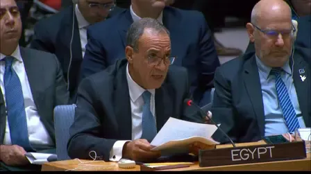 Egypt's Foreign Minister Calls for Regional Calm Amid Rising Tensions