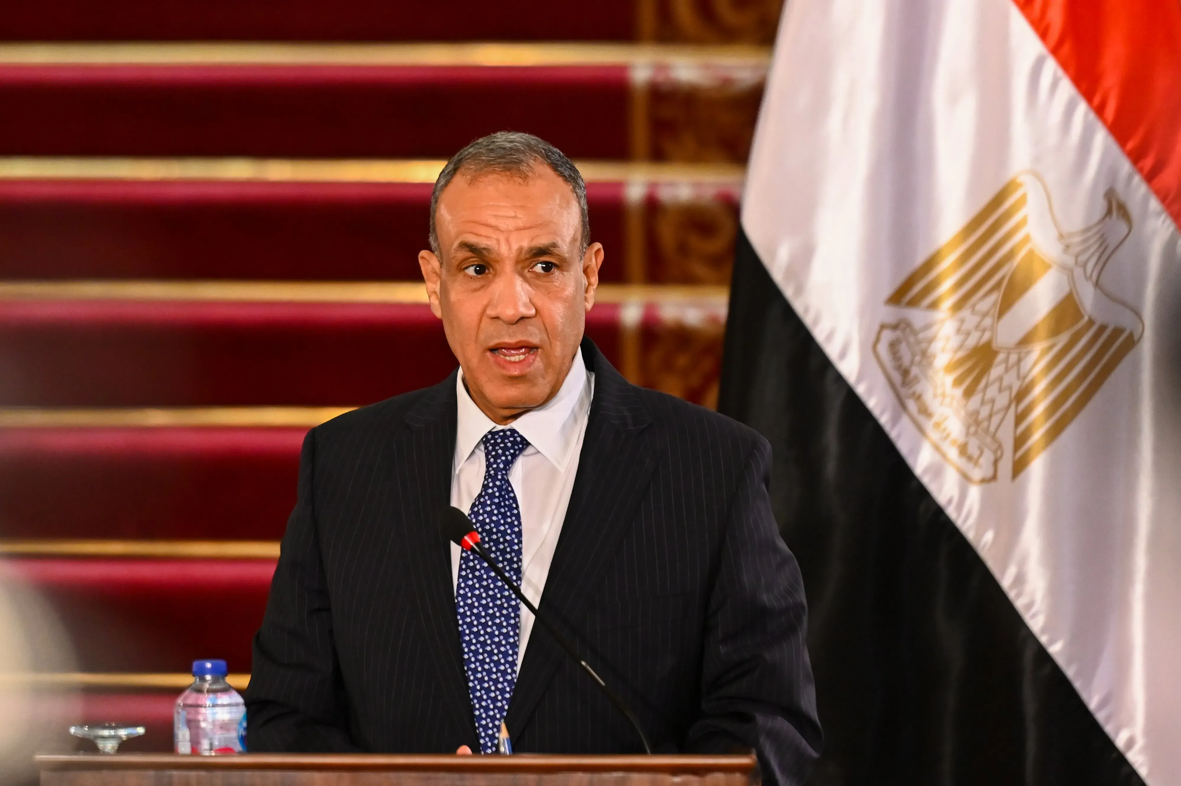 Egypt's Foreign Minister Emphasizes Cairo's Commitment to Syrian Sovereignty