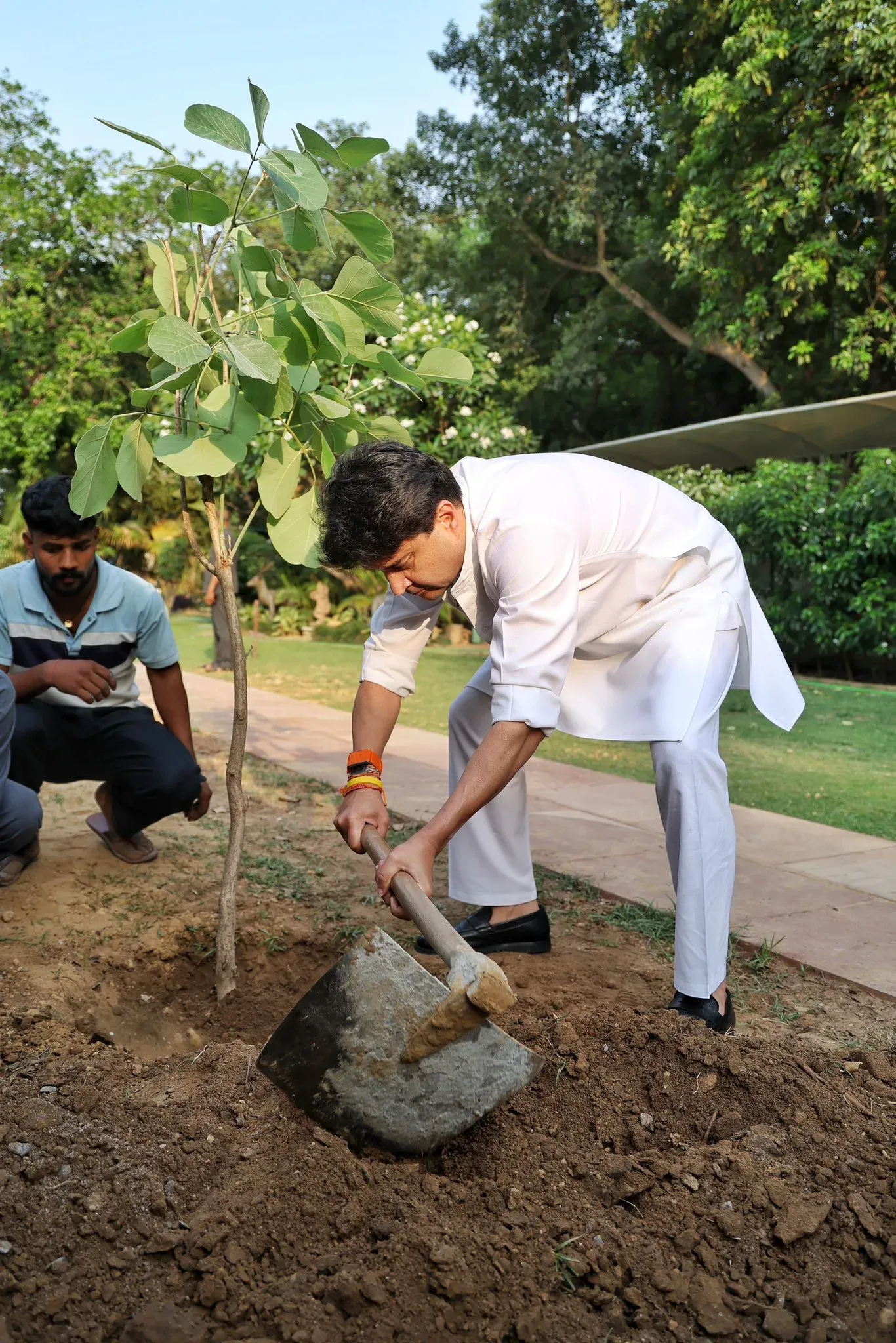Ek Ped Maa Ke Naam: Scindia plants Palash sapling on World Environment Day